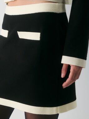 Aritzia Babaton Betty Skirt